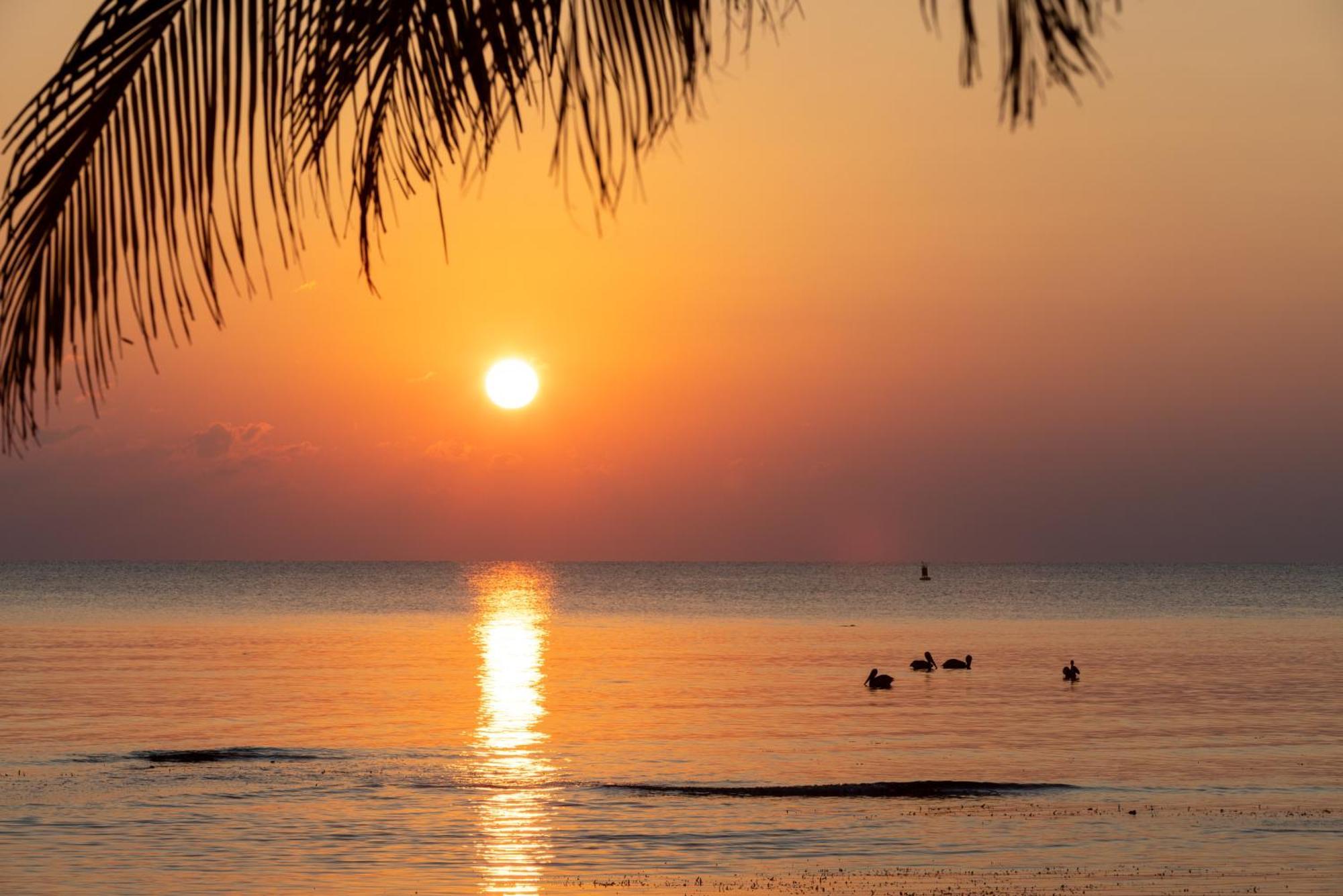 Blue Marlin Beach Resort 丹格里加 外观 照片