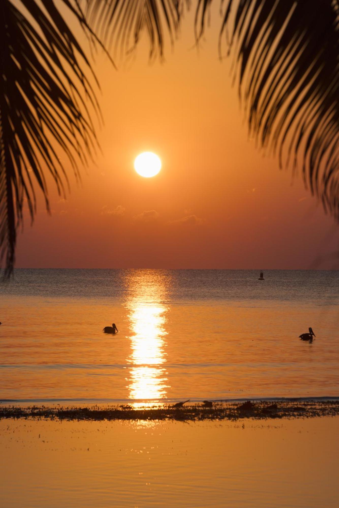Blue Marlin Beach Resort 丹格里加 外观 照片