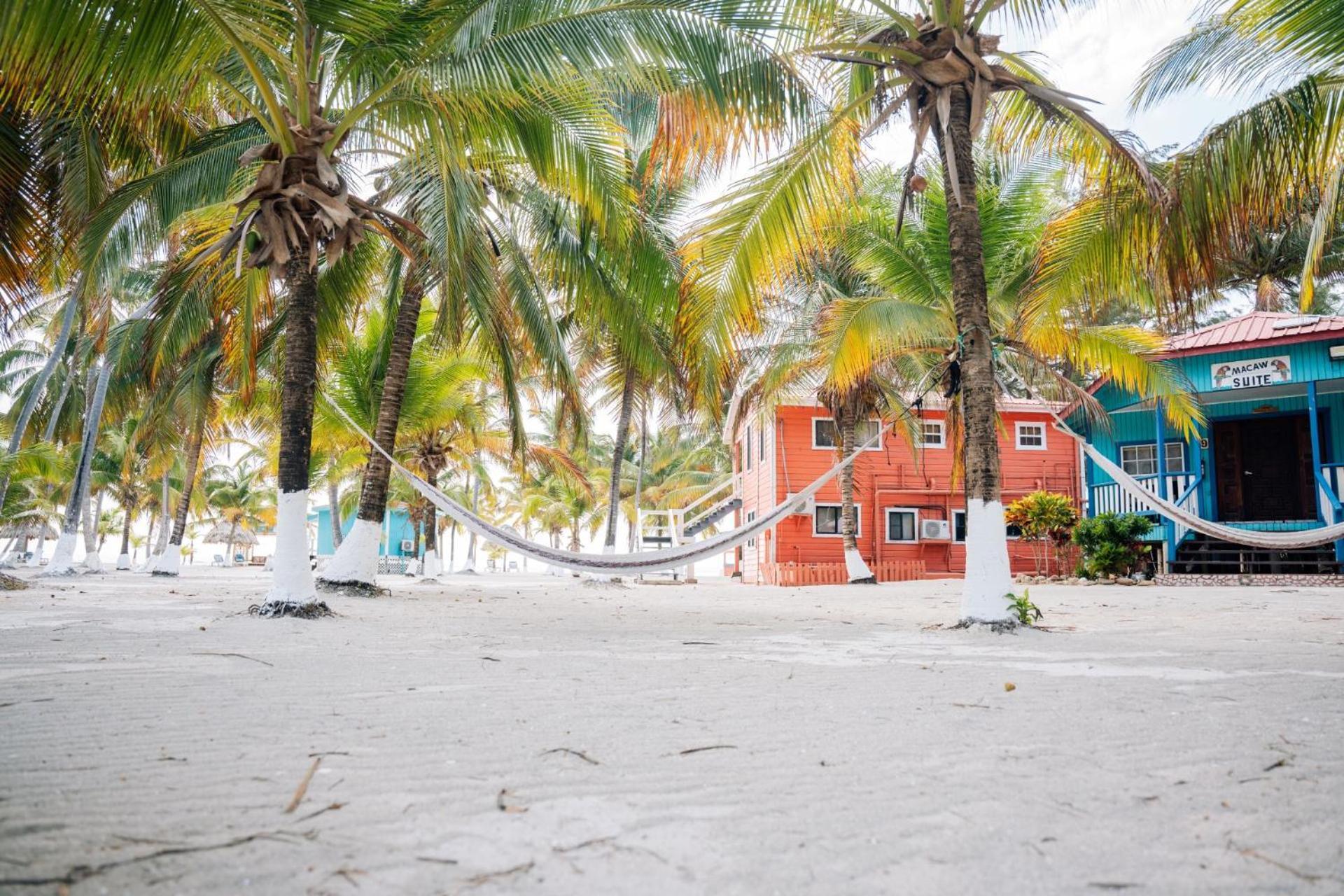 Blue Marlin Beach Resort 丹格里加 外观 照片